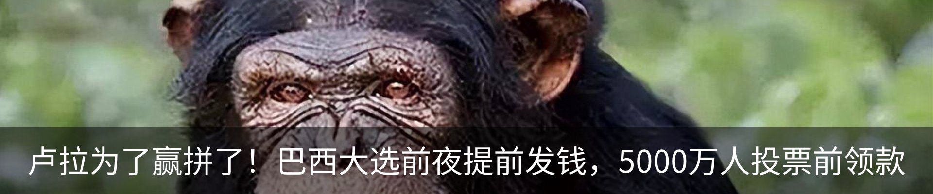 行业资讯